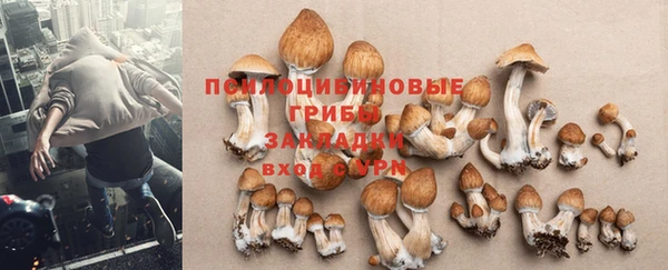 марки nbome Арсеньев