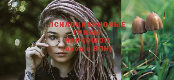 прущая мука Балахна