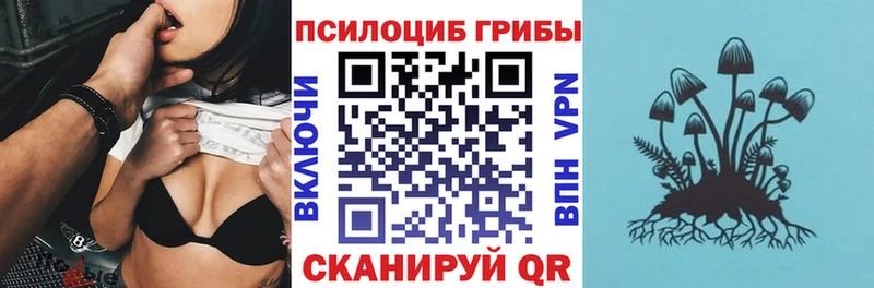 Галлюциногенные грибы мицелий  Новомосковск 