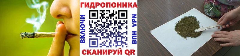 Каннабис семена  где можно купить наркотик  Новомосковск 